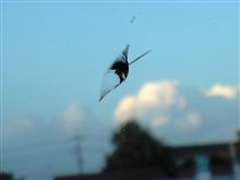 飛び石でフロントガラスにひびが入りました･･･