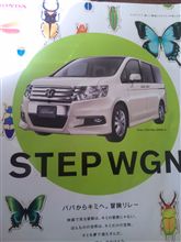 そういえば…………あんまり見ないよね………。