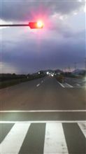ネズミ取り～！