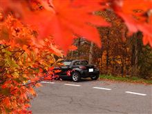 紅葉狩り～