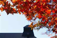 山形・秋田・岩手の紅葉の旅 山形・秋田・岩手の紅葉の旅