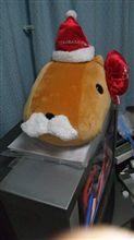 カピバラさんの…