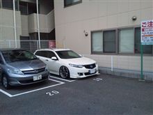 開発進捗報告。