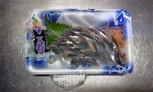 生さんまの刺身