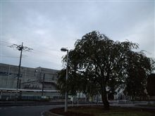 定点観測10/20(木)