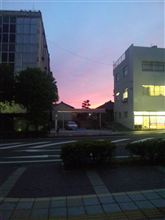 秋が街までやってきた(^・^)
