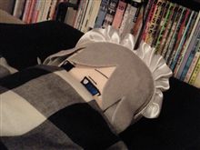 昨日は（・∀・）ﾆﾔﾆﾔ