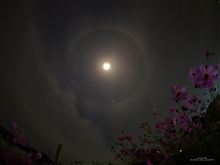 夜空の目玉