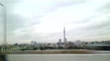 おはよう(ﾟ▽ﾟ)/