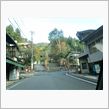 雨でも強行かな？