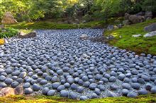 苔を求めて…【宝厳院】
