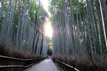 京都名物と言えば・・・？