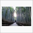 京都名物と言えば・・・？