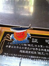 昨日は・・・