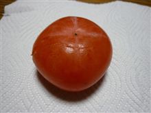 さわしがき？