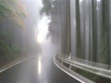 霧の中夢の中。