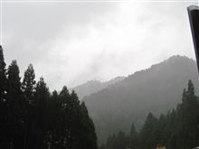 どしゃ降り雷雨も久々だね。。。