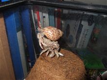 ポチッと