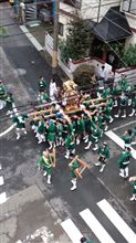 お神輿！