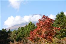 プチ富士山散歩