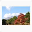 プチ富士山散歩