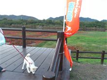 夕ドラ～かみさんとばにらと(^-^)…。