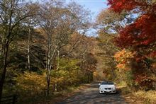 紅葉ドライブのシーズン到来♪
