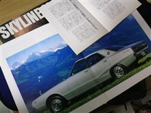 「スカイランと私」・・・本編(その12) 「スカイランと私」・・・本編(その12)