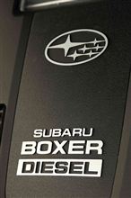 ☆Boxer DIESEL☆彡