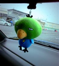 ドーミーインコ！