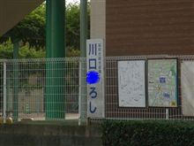 ゆけ！ゆけ！川口浩！！