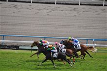 三冠馬　誕生