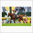 オルフェーヴル、見事な3冠馬