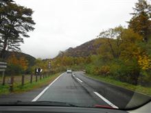 雨中の紅葉狩り（吾妻磐梯ﾛﾝｸﾞﾂｰﾘﾝｸﾞ）