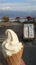 今年初､ほったらかされて癒される 