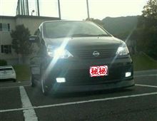 1ヶ月ぶりに