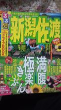 次なる行き先・・・？