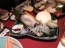 イカのお刺身