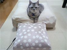 悩んだ末に