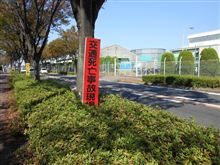 命日 命日