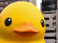 大阪中之島に巨大生物を見た！