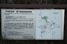 霧ヶ峰湿原植物群落