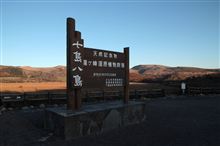 七島八島
