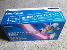 エスカップを箱買い!?