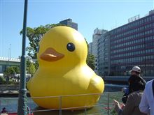 大阪寒空散歩2011