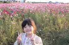 コスモスを見に行ってきました♪