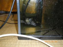 無理だ・・・