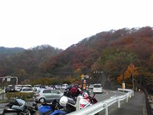 いろはなう