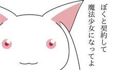 自動車保険とフォグランプ。（納車５日目）