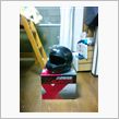 ヘルメット買ってきました。